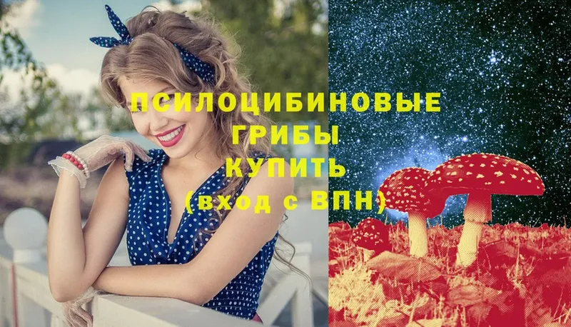 Псилоцибиновые грибы мухоморы  Киселёвск 